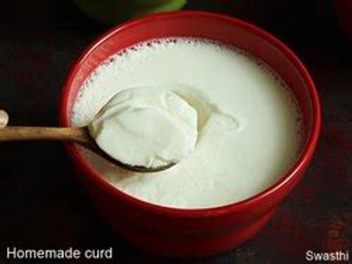 Curd (Matka)