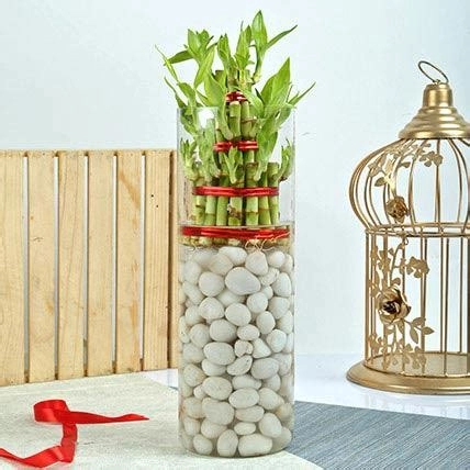 Exquisite Three Layer Bamboo Terrarium