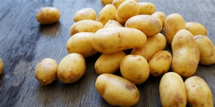 Potato