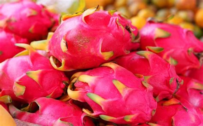 Dragon Fruit