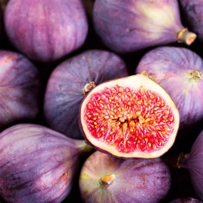 Fresh Fig