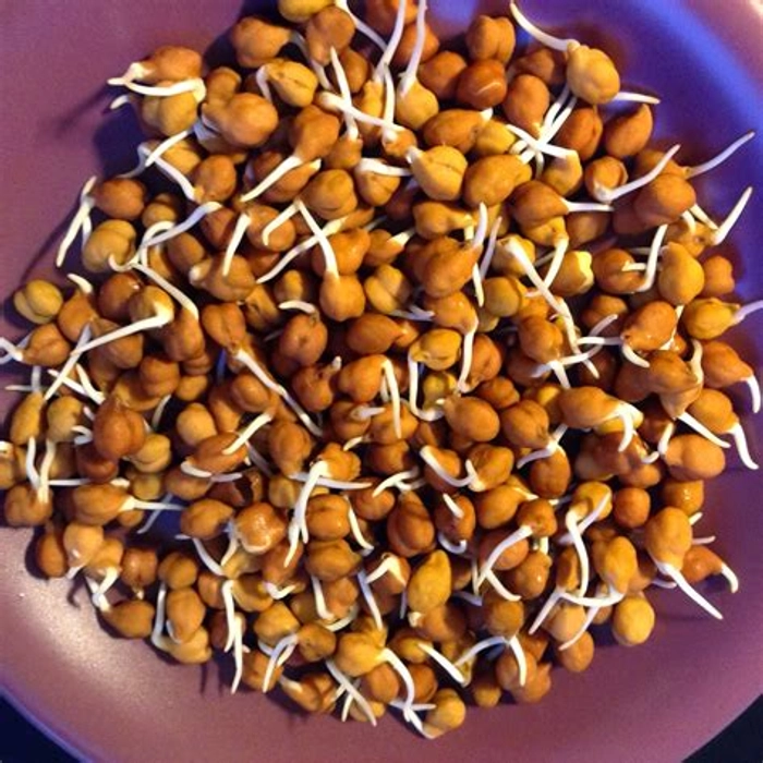 Chana Dal Sprouts