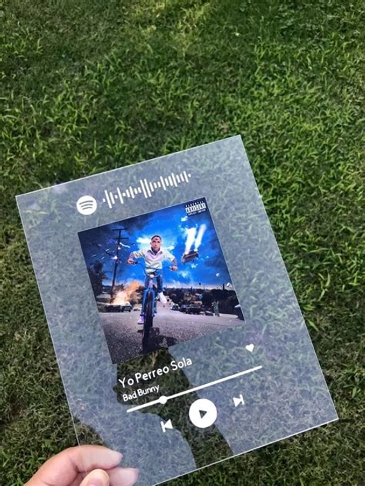 splideImage