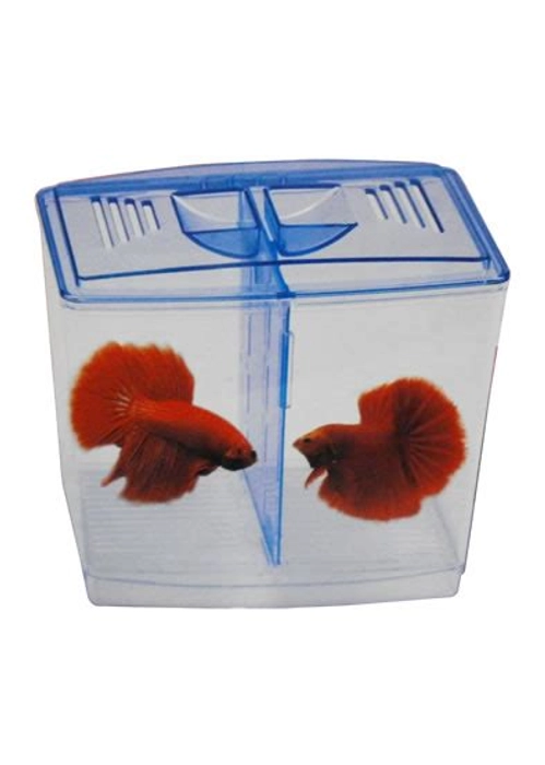 Dophin BT104 Betta Tank