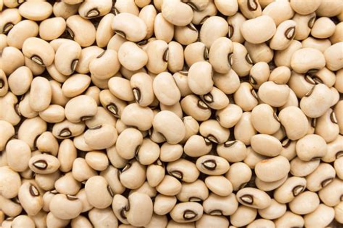 Cowpea Black eye