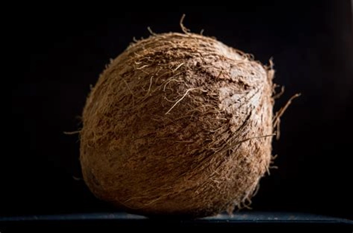 Coconut