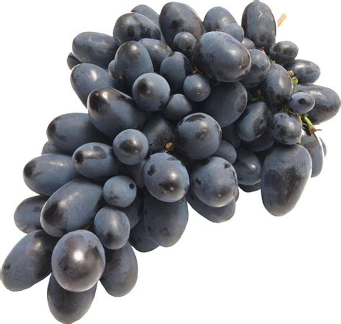 Grapes - Black