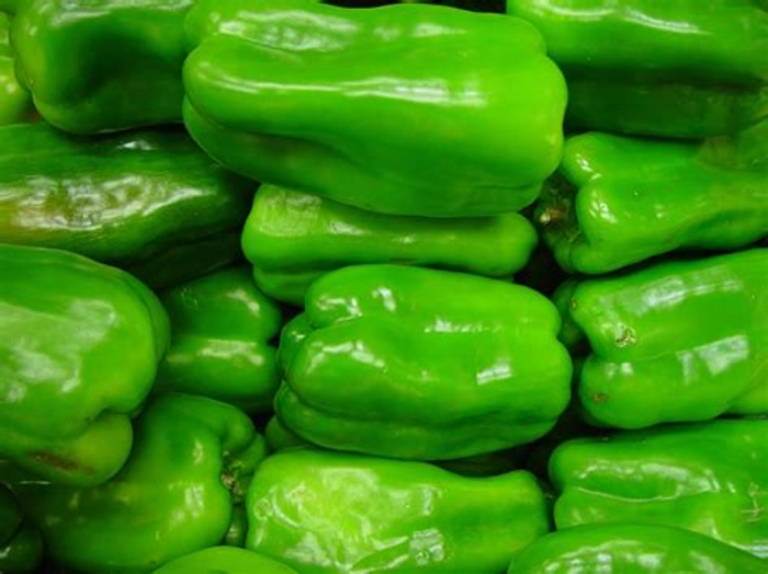 Capsicum - Green