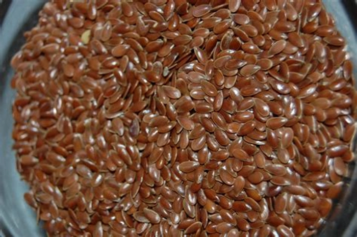 Flax Seed