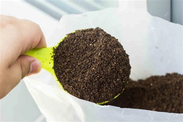 Vermicompost