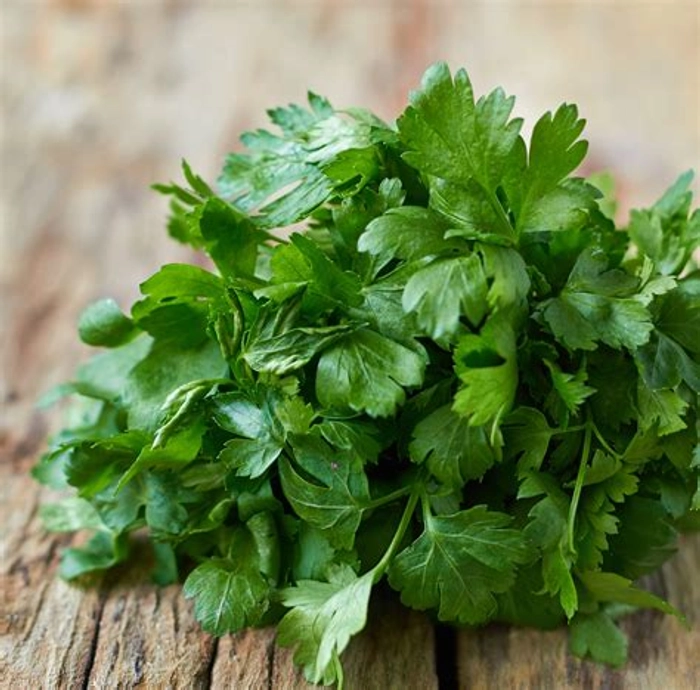 Coriander Leaves