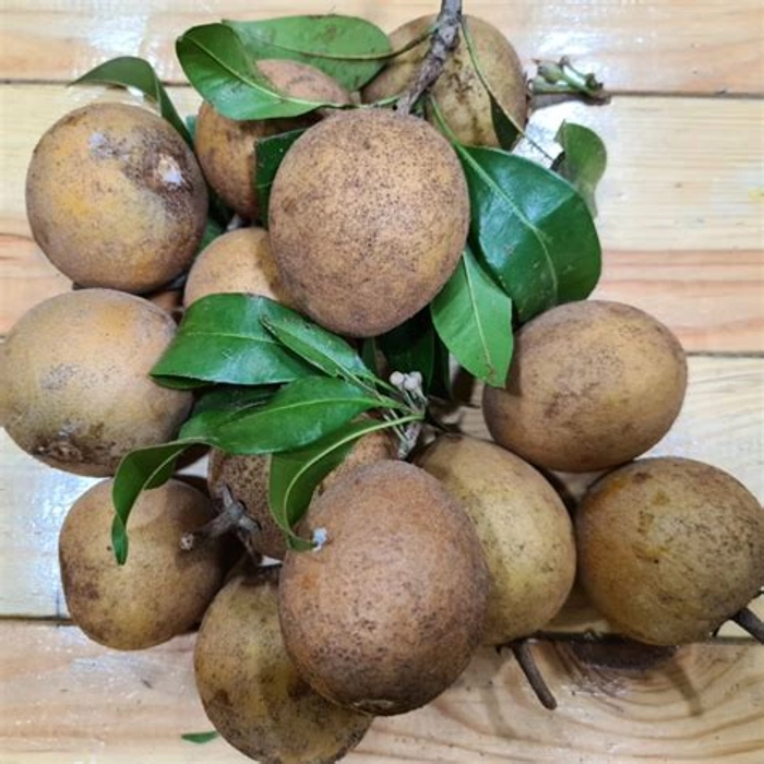 Sapota / Chiku (Organic)