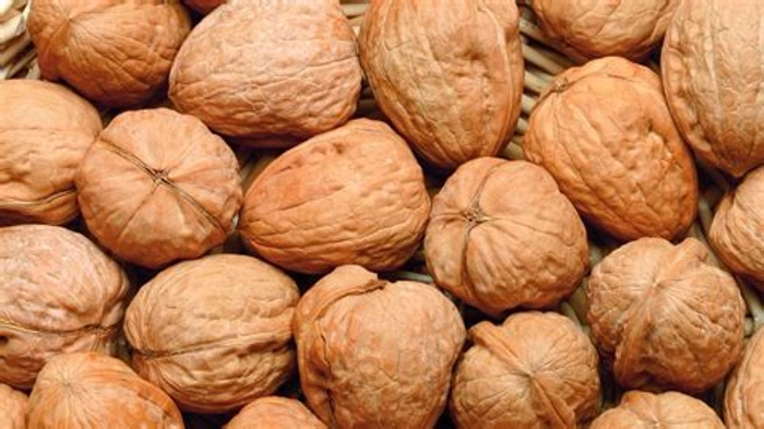 Walnut