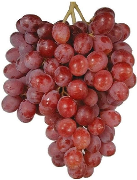 Grapes - Red