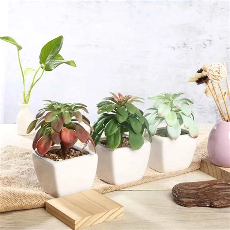 Set Of 3 Green Plants In Ceramic Pots