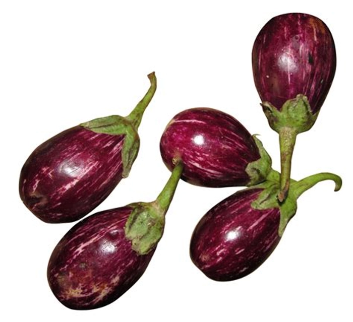 Brinjal- Small Deshi (Gavaran)