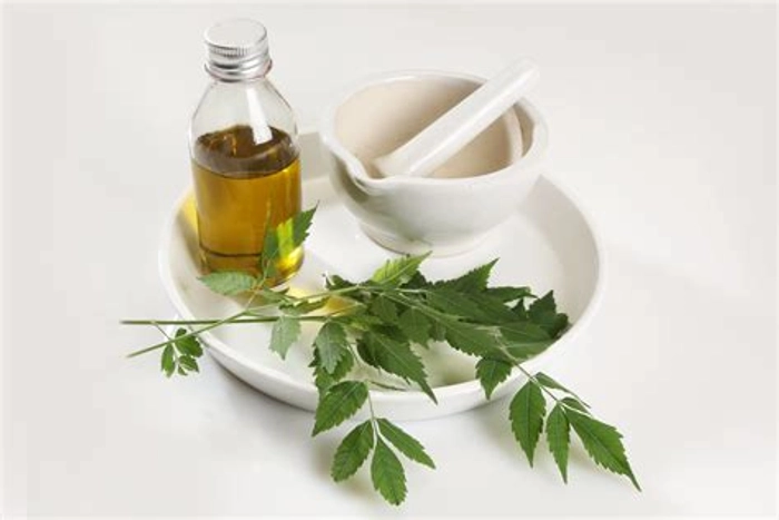 Neem Oil 10000ppm