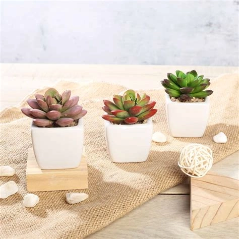 Set Of 3 Green Plants In Ceramic Pots