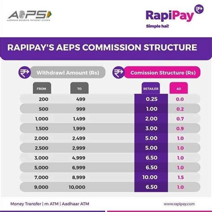RapiPay CSP Id (Free of Cost) Banking Service at best price in Baharampur |  ID: 22788377488