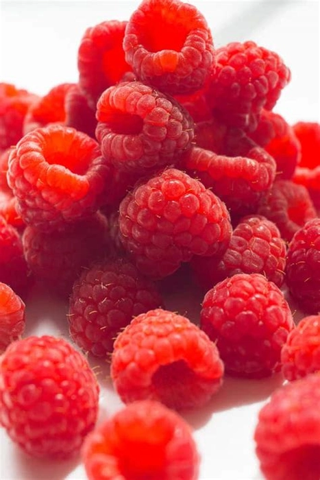 Dry Raspberry