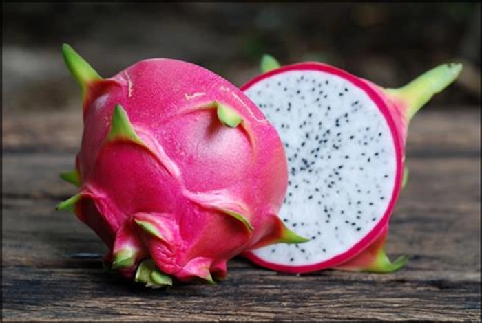 Dragon Fruit