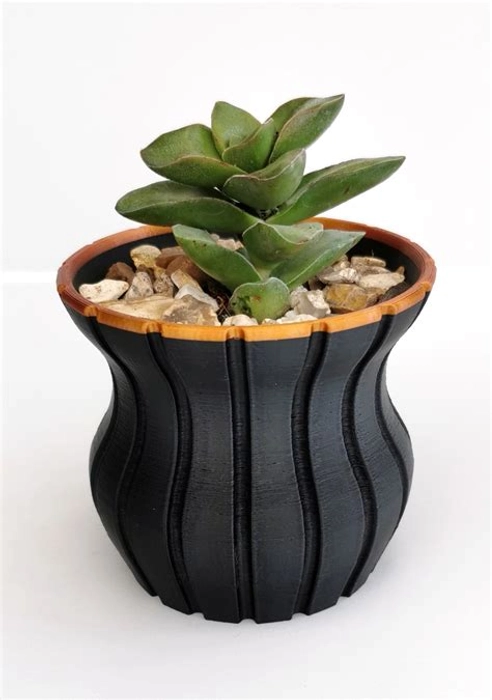 Cactus Pots
