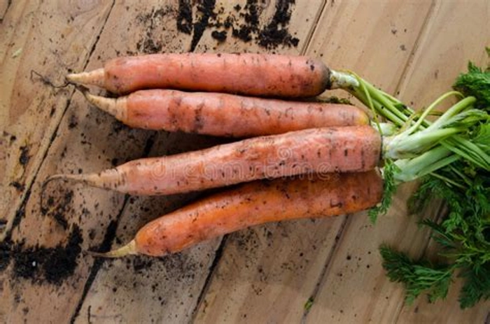 CARROT (ORGANIC ACRE)