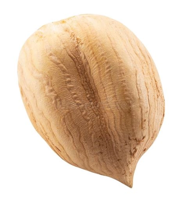 Hazelnut Without Shell