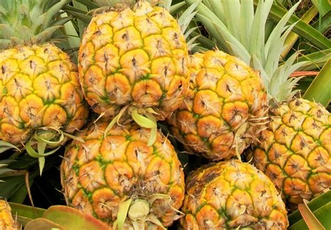 Pineapple