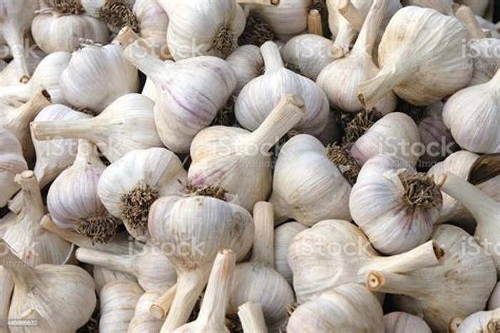 GARLIC (ORGANIC ACRE)