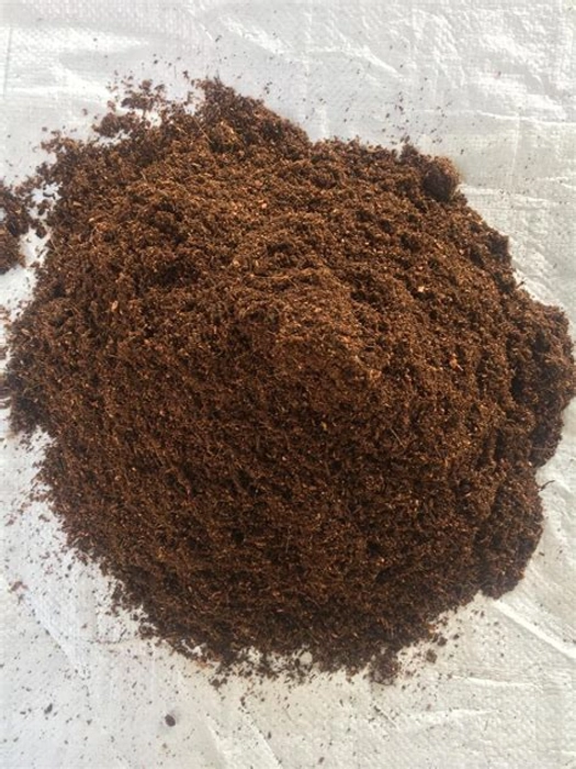 Cocopeat Loose for plants