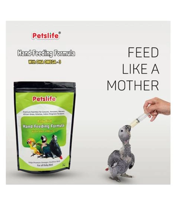 Petslife Hand Feeding Formula 2kg