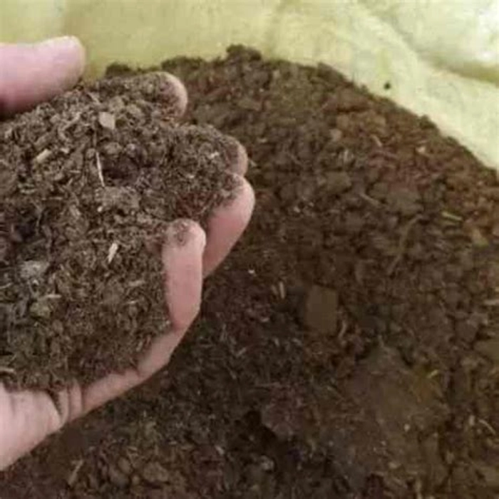 Cow dung compost
