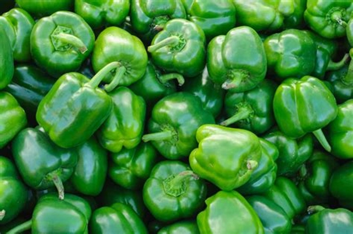 Capsicum - Green