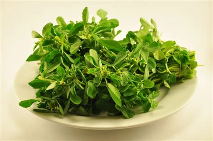 Fenugreek Leaves / Methi