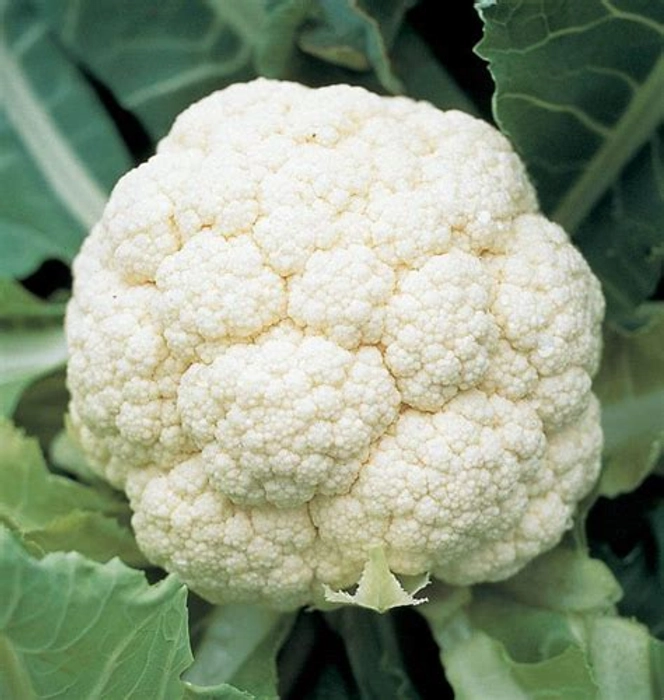 cauliflower