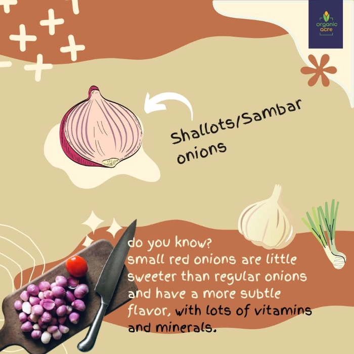 ONION - SAMBHAR