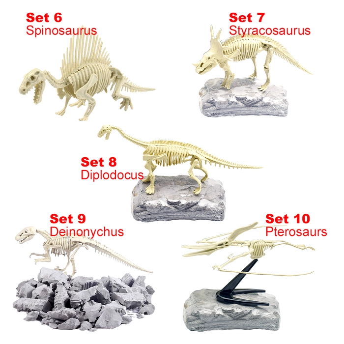 3D Dinosaur Bone Excavation Kit Early Devolvement Science Education Toy DIY Assembled Simulated Skeleton Mainan Pendidikan Tulang Dino Fossil Jurassic 3D Bones Skeleton