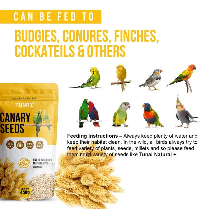 Tunai Canary Bird Seeds | 450g | Perfect Bird Food For Canaries, Finches, Budgies, Parakeets, Parrotlets, Conures, Eclectus, Senegals, Caique, Parrots, Cockatiels, Small Conures, Quaker Parrots, Rich