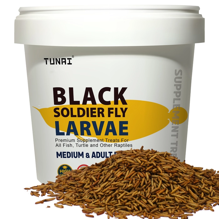 Tunai Black Soldier Fly Larvae Dried 60X More Calcium | 500g |, 40% Protein Rich Fish Food for Oscar, Arowana, Flowerhorn, Turtles & Other Reptiles of All Life Stages, Essential for Growth & Enhance C