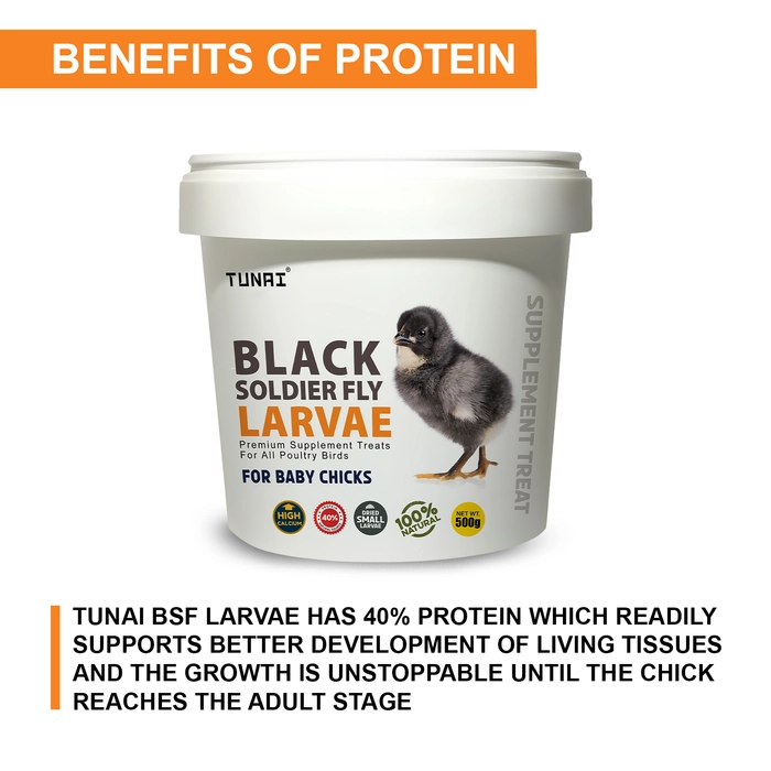 Tunai Black Soldier Larvae | 500g | 60X Calcium, Fortified with 40% Protein Energy, Natural Supplement Treat for Poultry, Hen, Chicken, cockBaby Chicken