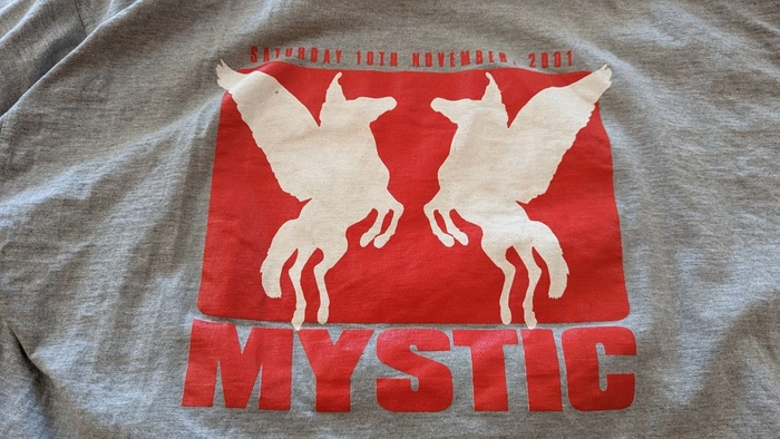 Mystic Grey T-Shirt (XL)