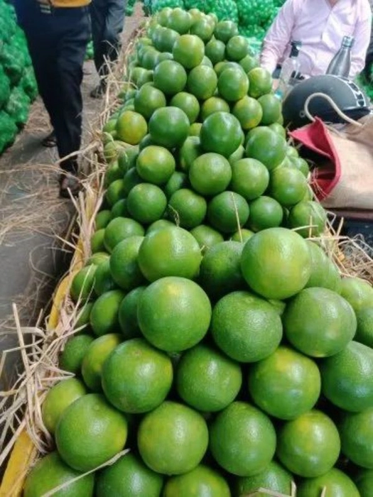 Mosambi