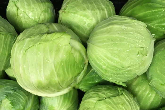 Cabbage 500 gms