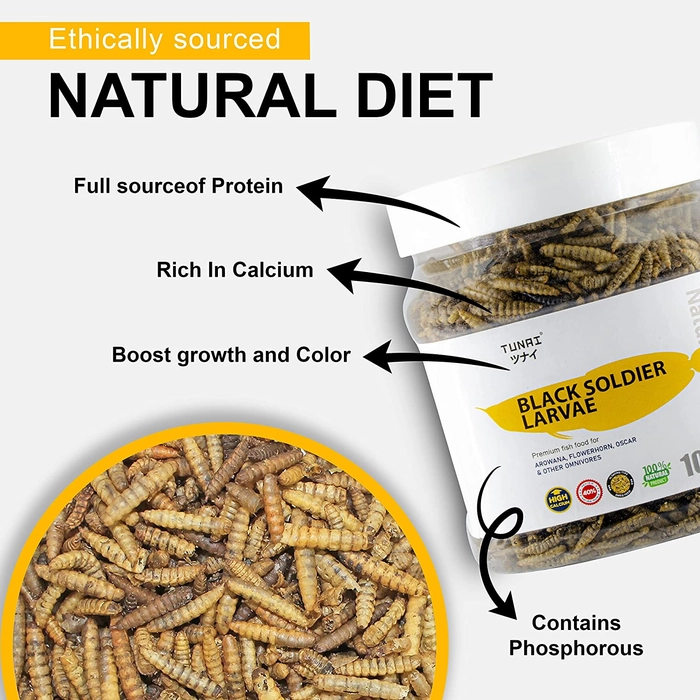 Tunai Black Soldier Fly Larvae Dried 60X Calcium More Than Meal Worms, 40% Protein Rich Fish Food for Oscar, Arowana, Flowerhorn, Turtles, Tortoise and Other Reptiles, Essential for Growth and Enhance