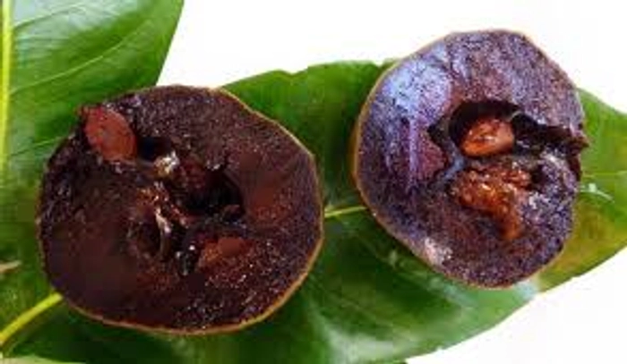 Black Sapote