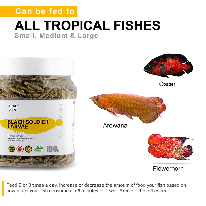 Tunai Black Soldier Fly Larvae Dried 60X Calcium More Than Meal Worms, 40% Protein Rich Fish Food for Oscar, Arowana, Flowerhorn, Turtles, Tortoise and Other Reptiles, Essential for Growth and Enhance