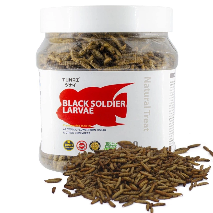 Tunai Black Soldier Fly Larvae Dried 60X Calcium More Than Meal Worms, 40% Protein Rich Fish Food for Oscar, Arowana, Flowerhorn, Turtles, Tortoise and Other Reptiles, Essential for Growth and Enhance