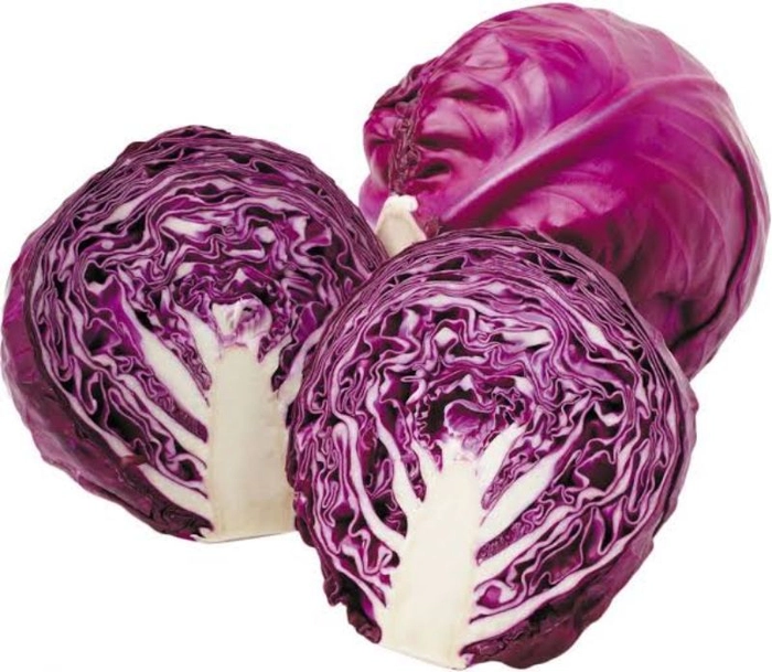 CABBAGE PURPLE