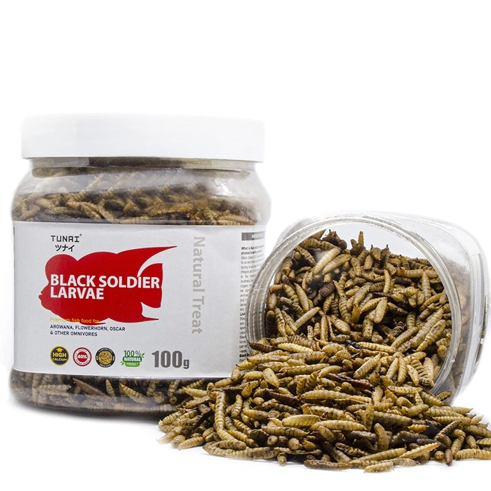 Tunai Black Soldier Fly Larvae Dried 60X Calcium More Than Meal Worms, 40% Protein Rich Fish Food for Oscar, Arowana, Flowerhorn, Turtles, Tortoise and Other Reptiles, Essential for Growth and Enhance